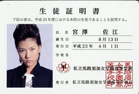 Amazon Akb48 マジすか学園2 手帳 宮澤佐江 学生証 アイドル 芸能人グッズ 通販