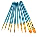 Polytree 10x Round Pointed/Flat Tip Nylon Hair Acrylic Watercolor Artist Paint Brush Set