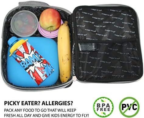 fridge to go insulated lunch box