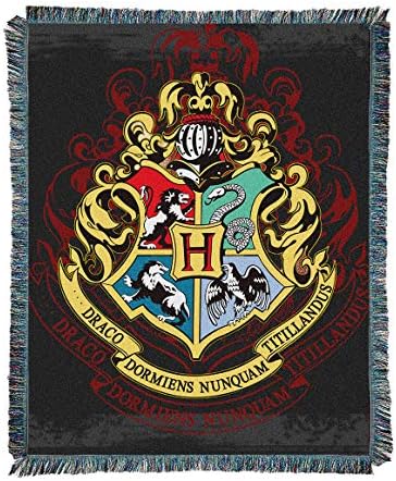 Tapestry Throw Blanket, House Wall Decor Tapestry and Outdoor Blanket 116 * 150CM