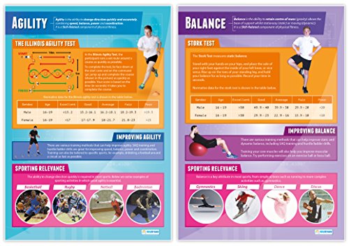 Components of Physical Fitness - Set of 12 PE Posters | Classroom Posters for PE | Gloss Paper measuring 33" x 23.5" | Phys Ed School Posters | Physical Education Gym Charts, by Daydream Education