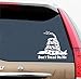 Don't Tread on Me Snake -Window-decal- 5