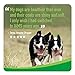 IAMS Proactive Health Minichunks Adult Dry Dog Food with Real Chicken, 15 lb. Bag