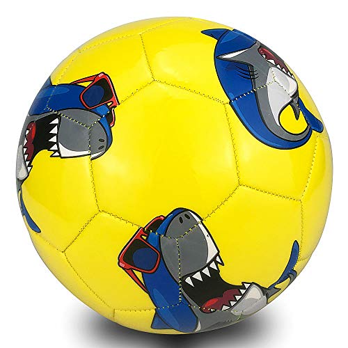 Champhox Kids Soccer Ball Size 3 with Pump, Children Sports Ball Cartoon Design Toddlers