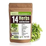 14 Culinary Herb Seeds Variety - USA Grown for