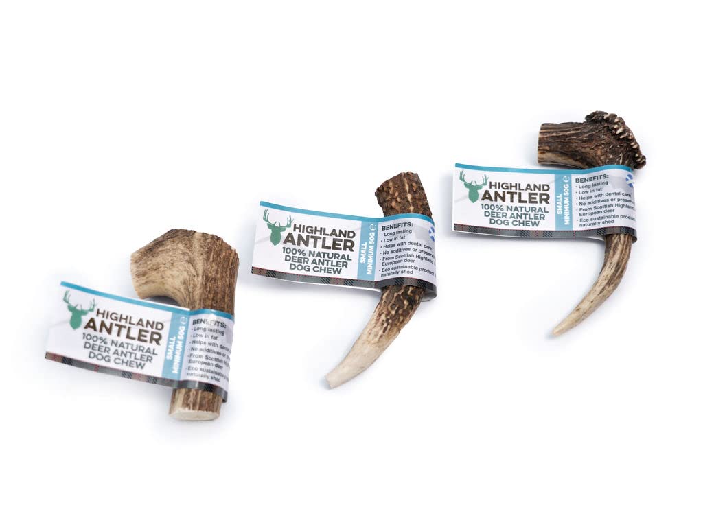 Highland Antler - Natural Antler Dog Chew. Pack of 1x Small (50-75g) Naturally Shed Red Deer Antler, Long Lasting Dog Chew Bone With Calcium And Minerals (Shape may vary)