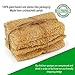 ENEY Eco-Friendly Natural Kitchen Washing Up Sponge | 100% Plant-Based Biodegradable | Four Pack of Non-Odor Dish Sponges | Sustainable Unbleached Loofah | Plastic-Free