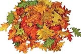 Assorted Mini Fall Color Oak Leaves - Autumn Weddings, Flowergirl Leaves, Fall Decor