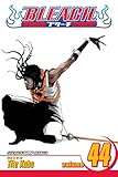 Bleach, Vol. 44