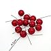 Fangfang 100pcs Xmas Christmas Red Fruit Berry Holly Artificial Flower Pick Home Decor