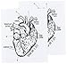 Tattly Temporary Tattoos, Heart Chart, 0.1 Ounce