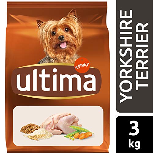 Ultima Pienso para Perros Yorkshire Terrier con Pollo - 3 kg 2 Tamaño de partícula adaptado a su mandíbula
Pelo brillante y piel sana: ácidos grasos omega-3 y omega-6, biotina y zinc
Control del sarro y del mal aliento: partícula crujiente con pirofosfatos, té verde