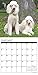 Just Poodles 2017 Wall Calendar (Dog Breed Calendars)