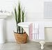 Decorative Bath Towel Set - Luxury Cotton 6 Piece Towel Set - 2 Bath Towels, 2 Hand Towels, 2 Washcloths - Luxurious, Ultra-Soft, Durable Towels for Bathroom Decor (Eucalyptus/Grey)