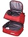 MIER Double Decker Insulated Lunch Box Pink Soft Cooler Bag Thermal Lunch Tote with Shoulder Strap (Red)…