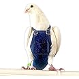 Bev's Bird Boutique - Regular Flypers (Open Back Design)
