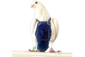 Bev's Bird Boutique - Regular Flypers (Open Back Design)