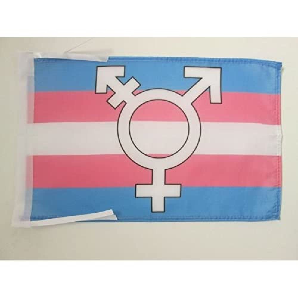 AZ FLAG - Transgender Symbol Flag - 18'' x 12'' - 100% Polyester Rainbow Small Banner with Two Cords - Fade Resistant - Vivid Colors - 18x12 in - 45x30 Cm