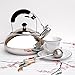 Vanika Stainless Steel Tea Kettle; Whistling Teapot Design; Large 3.0L (3.2 Quart)