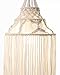 Mkono Macrame Plant Hanger Indoor Lantern with Hanging Planter Pendant Light Shade Cotton Rope Boho Home Decor, 51 Inch (NO Light Included)