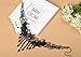 MEiySH Lolita Gothic Black Lace Choker Beads Tassels Chain Pendant Necklace Earrings Set
