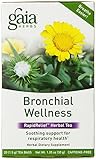 Gaia Herbs Bronchial Wellness Tea Bags, 20 Count (Pack of 2)