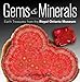 Gems and Minerals: Earth Treasures from the Royal Ontario Museum