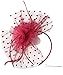 Fascinators Hat for Women Tea Party Headband Kentucky Derby Wedding Cocktail Flower Mesh Feathers Hair Clip