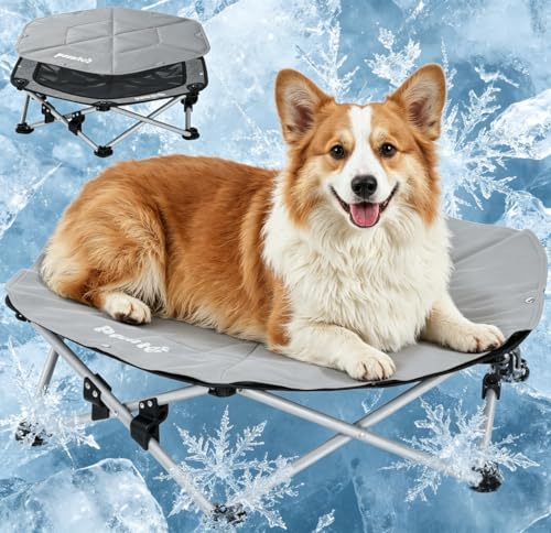 Pecute Cama Elevada para Perros Medianos y Pequeños, Resistente Sin Montaje con Colchoneta Refrescante, Plegable para Interior y Camping, Tamaño L, Soporta hasta 60kg, Gris