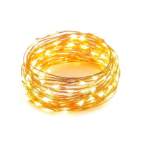 Led string lights 33ft with 100 leds, waterproof copper…