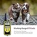 heewee Dog Training Collar with Remote 875 Yards, Waterproof Rechargable Activated Anti Bark Collar with Beep Vibration Static Shock for Medium Large Dogs (for 2 Dogs)thumb 2