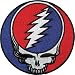 Grateful Dead 8" Steal Your Face Embroidered Iron on Patch XLG