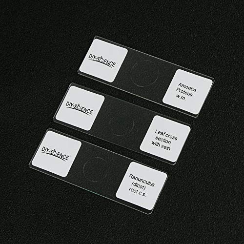 Prepared Apologia Biology Microscope Slides Set, Pack of 16pcs Specimens Specifically for Biology Course