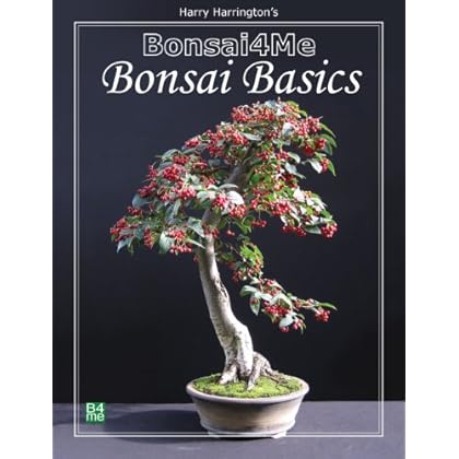 Bonsai4me: Bonsai Basics