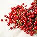 Fashionclubs Christmas Tree Artificial Red Holly Berry Pick Branch Wreath Pack of 100