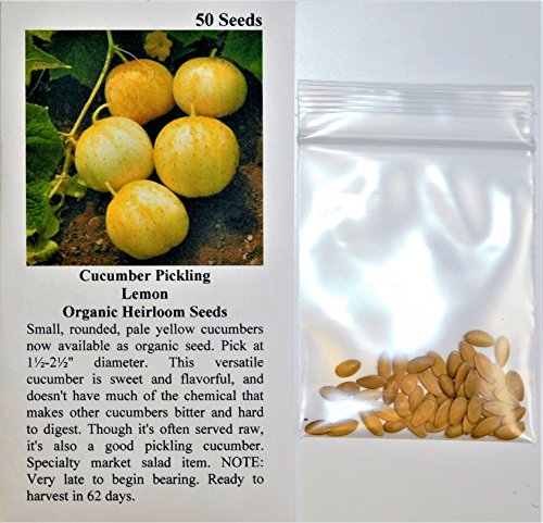 David's Garden Seeds Cucumber Pickling Lemon SL3329 (Yellow) 50 Non-GMO, Heirloom Seeds - //coolthings.us