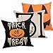 HL HLPPC Trick or Treat Pumpkin Halloween Cotton Linen Home Decor Throw Pillow Covers Set of 3,18 x 18 Inches