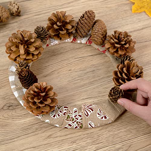 JOHOUSE 50PCS Natural Pinecone Ornaments, Pine Cones Bulk Natural Pinecones Assortment for Fall Winter Christmas Bowl Fillers