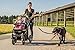 Treat4Pet Premium Hands Free Dog Leash for Running, Comfortable Waistbelt & Adjustable Length! Reflective Stitching & Control Handle. Retractable Shock Absorbing Bungee for up to 150 lbs Large Dogs.