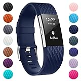 ZEROFIRE Bands Compatible for Fitbit Charge 2, Replacement Adjustable Sport Bands for Charge 2 Heart Rate Fitness Wristbands, Women Men, Small and Large