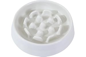 Gonalulu Ceramic Cat Slow Feeder Bowl,Higher Edges Non-Spill Slow Eating Cat Food Bowl Puzzle Feeder Feeding Dish for Kitten Puppy Healthy Eating Diet,Suitable for Dry and Wet Food