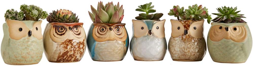 Sun-E 2.5 Inch Owl Pot Ceramic Flowing Glaze Base Serial Set Succulent Plant Pot Cactus Plant Pot Flower Pot Container Planter Bonsai Pots with A Hole Idea 6 in Set: Kitchen & Dining