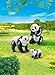 Playmobil Panda Family Building Kit