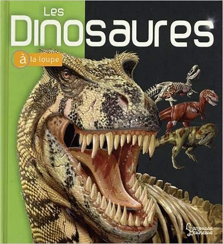 couverture de : Les dinosaures