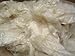 Bean Products Premium Kapok Fill | 5 lbs | 100% Organic Kapok Fiber | Chemical Free and Hypoallergenic | Perfect for Pillows, Pet Beds, Couches & More | Made in USA