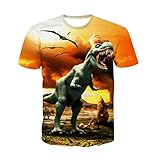Uideazone Unisex 3D Graffiti Pattern Funny Tee T-Shirt Top
