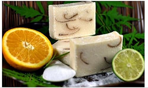 Ladira Vegan Sea Salt Soap - Tropical Vanilla- Relaxing and Peaceful 6 Oz Handmade in the USA