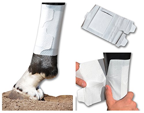 Equine BandaFlex Non-Adhesive, Disposable, Washable and Reusable Bandages (Pack of 10)