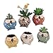 LANKER 6 Pack 3.1 Inch Mini Owl Pots Flowing Glaze Ceramic Succulent Planter Plant Container(3.1 inch 6pcs)