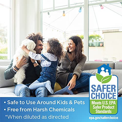 Clorox Glass Cleaner Refills for Clorox Glass Cleaning System for Mirrors and Window Cleaning, 2